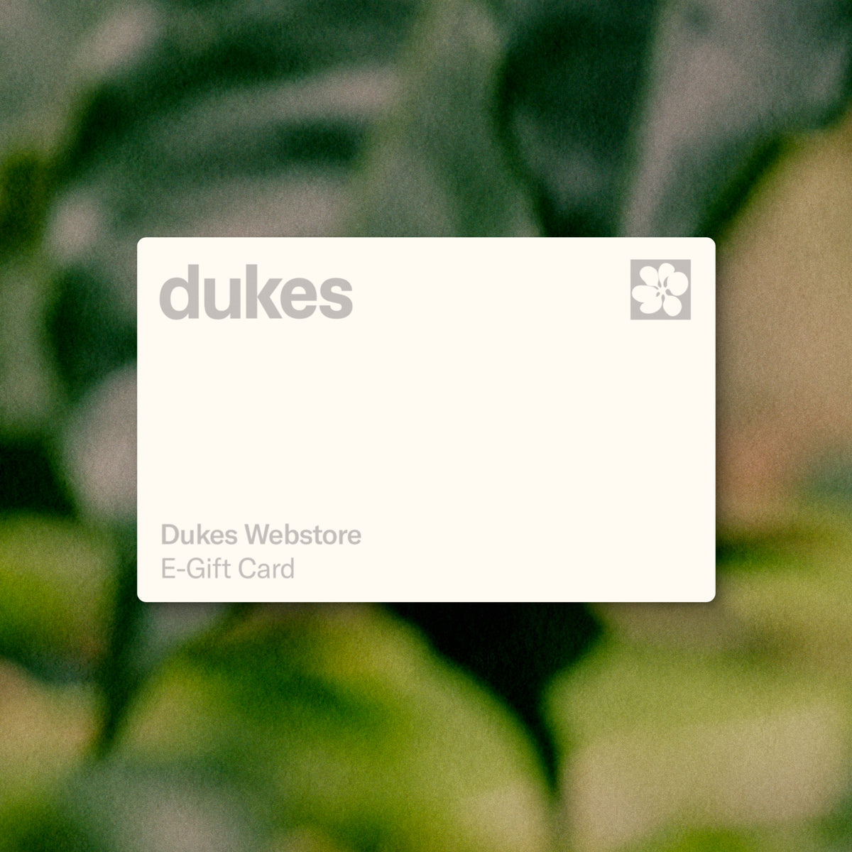 Dukes Coffee Gift Card