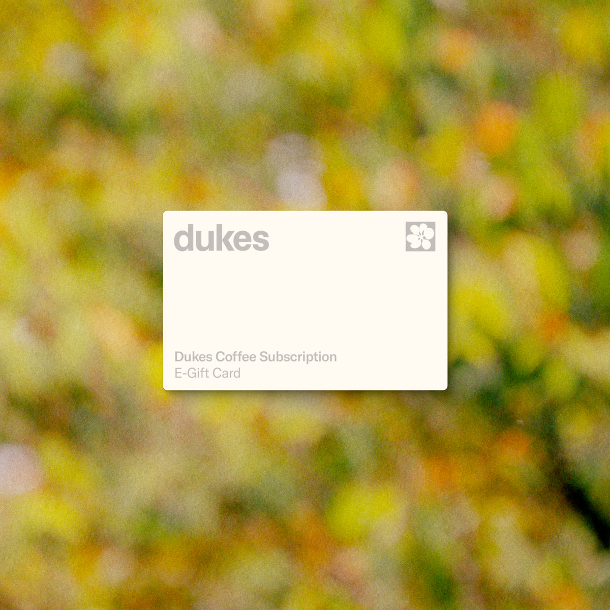 Dukes Gift Subscription